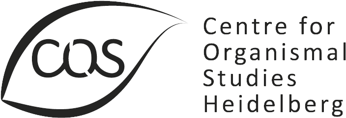 Logo des Centre for Organismal Studies Heidelberg (COS): Eine stilisierte Blattgrafik mit den Buchstaben ‚COS‘ in der Mitte. Rechts daneben steht der Name ‚Centre for Organismal Studies Heidelberg‘ in schwarzer Schrift.